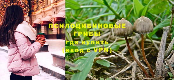 не бодяженный Армянск