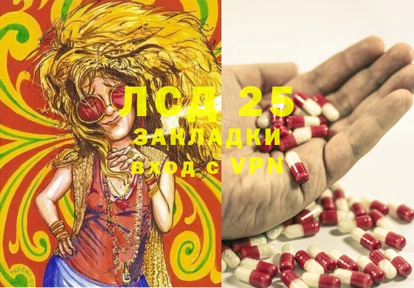 эйфоретик Аркадак
