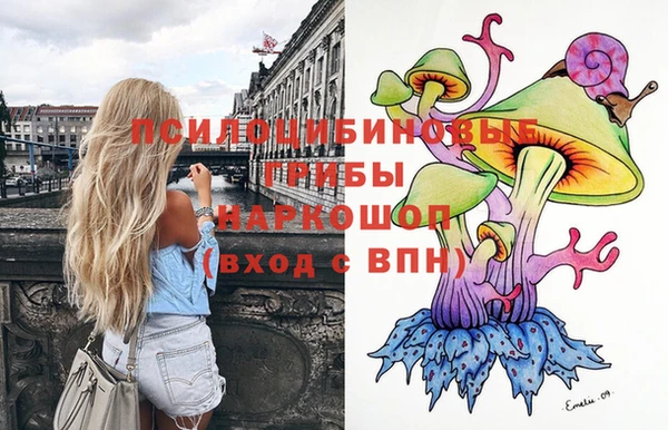 дмт Пересвет